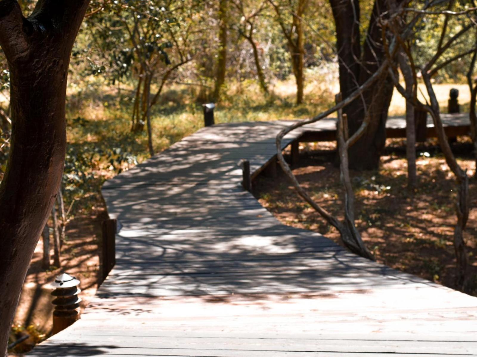 Ihlozi Bush Lodge هلوهلوي المظهر الخارجي الصورة